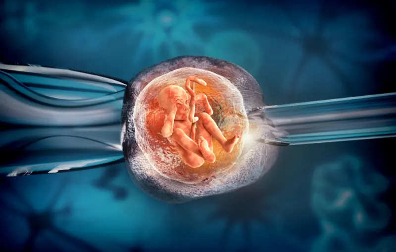 Thụ Tinh Trong Ống Nghiệm (IVF) Là gì - Giải Pháp Hỗ Trợ Sinh Sản Hàng Đầu Hiện Nay